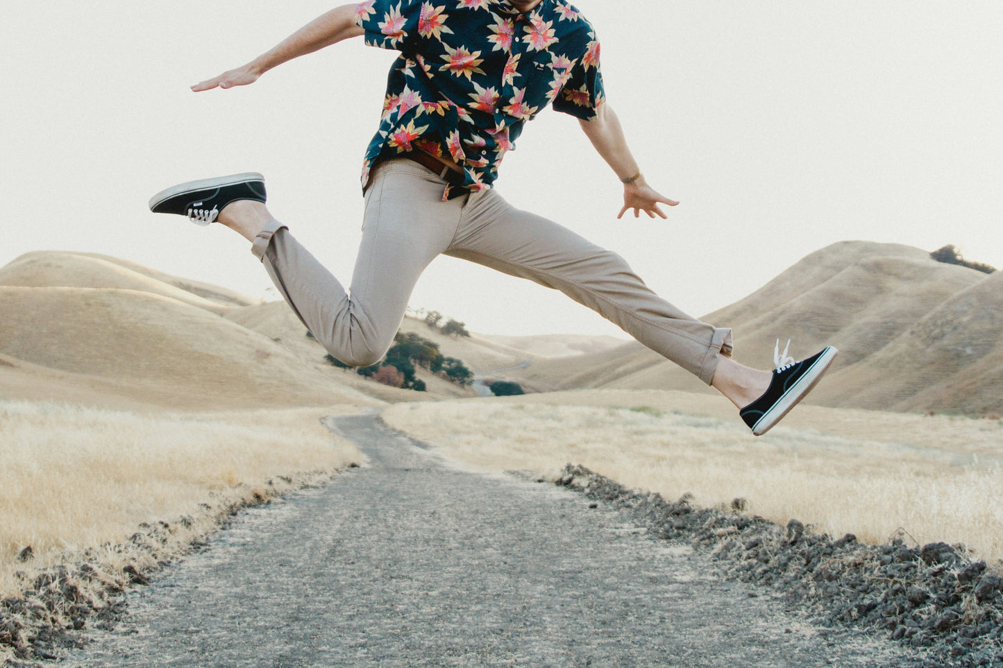 Premium Chino Pants
